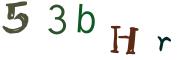 Obrázková CAPTCHA